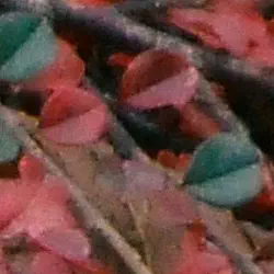 So, I made a blog